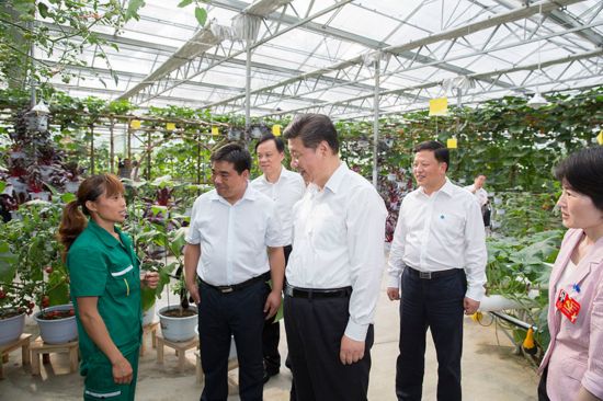 2015年6月16日下午，習近平在遵義縣楓香鎮(zhèn)花茂村的現(xiàn)代高效農(nóng)業(yè)智能溫控大棚，向正在勞動的村民了解增收致富情況。新華社記者 黃敬文　攝